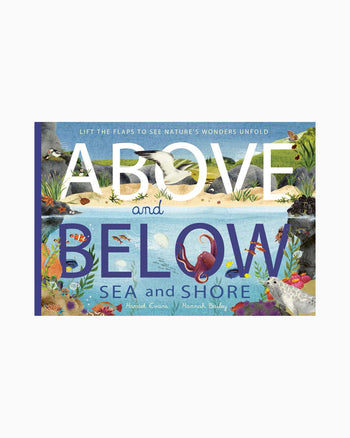 Above and Below: Sea and Shore Lift The Flap Book