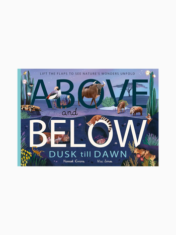 Above and Below: Dusk Till Dawn Lift The Flap Book