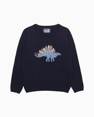 Dinosaur Sweater