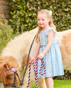 Bluebell Dress