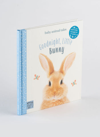 Abrams & Chronicle Goodnight Little Bunny Book