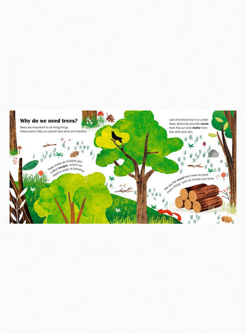 Carmen Saldana Book Trees: a Lift-the-Flap Eco Book