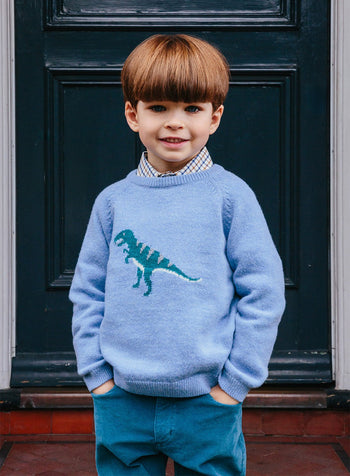 Thomas Brown Jumper Dominic Dinosaur Jumper