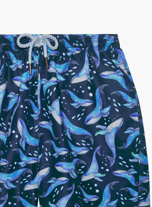 Mens Daddy & Me Swimshorts in Whale